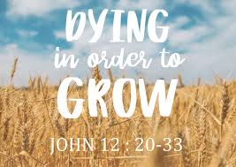 Dying In Order To Grow