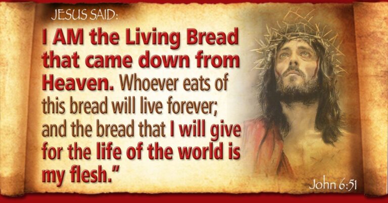 Bread Of Life